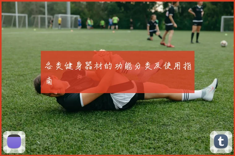 各类健身器材的功能分类及使用指南