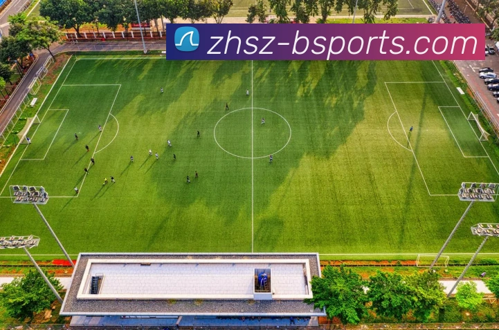 B体育Bsports平台生态图