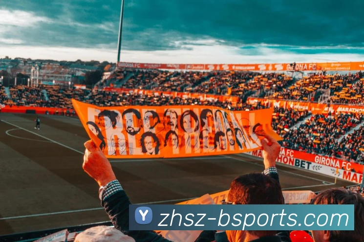 B体育BsportsAPP 封面图